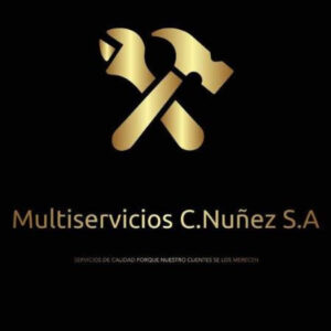 Imagen de carlosnunez1216@gmail.com